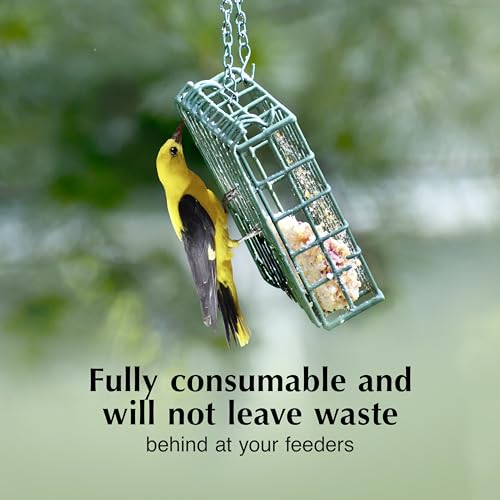 Image of C&S Oriole Delight No Melt Suet Dough, Suet Cakes for Wild Birds Including Orioles and More, 11.75 Ounces, Pack of 8