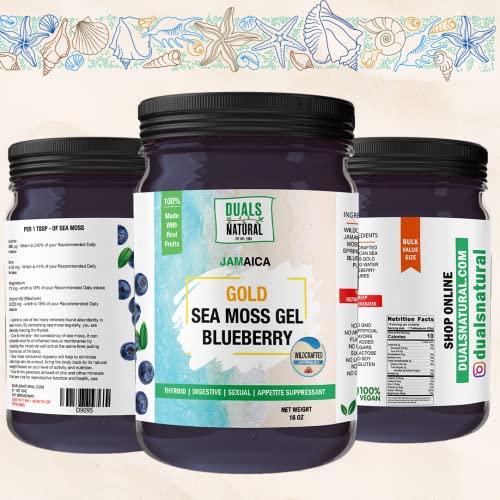 Dualspices True Sea Moss Irish Sea Moss Gel (17 Flavors) - Wildcrafted Seamoss Gel With 92 Vitamins And Minerals - Superfood, Immune Support Supplement, Non-Gmo, Keto, Vegan (16Oz) - Blueberry #TOP2