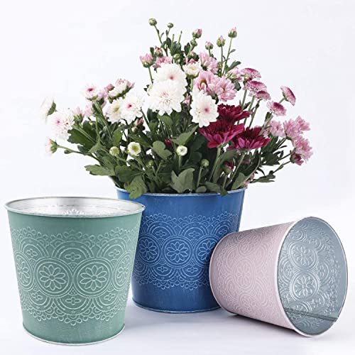 Macetas de Flores 6 piezas, Juego de Macetas de Flores, Canasta de Plantas, Recipiente de Metal con Estampado de Flores Retro para Plantas Jugosas de Diferentes Tamaños, 3 Tamaños y 2 Colores Cover