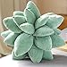 SXFYWYM Almohada Suculenta Almohada De Cactus Almohada 3D Suave Felpa Suculentas Cojines Decoración Linda para El Hogar para El Dormitorio Habitación Decoración del Hogar Novedad Cojín De Felpa