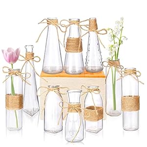 Nilos 10pcs Small Bud Glass Vases for Flowers Wedding Decorations, Mini Vintage Glass Flower Vase with Rope Design and Differing Unique Shapes for Flower Table Home Decoration