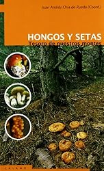 Hongos Y Setas: 