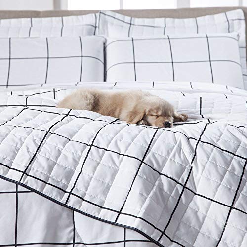 Cobre Leito Queen Algodão Pl 160 Fios, Grid, 3 peças, Marina Enxovais