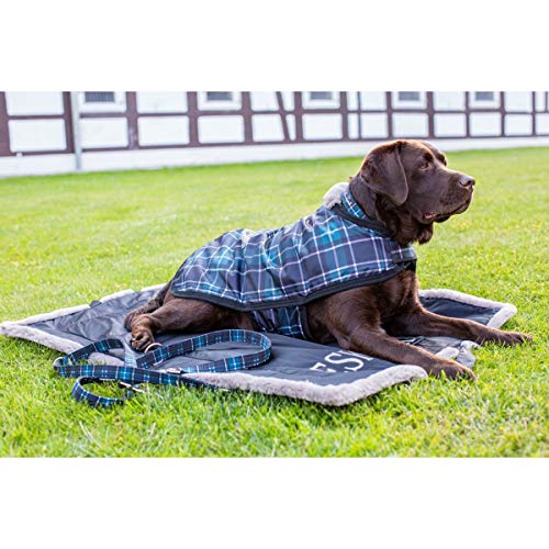 Hunde Set HALSBAND UND LEINE (Classic Sports HW19)