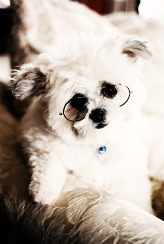 Simply beautiful ...