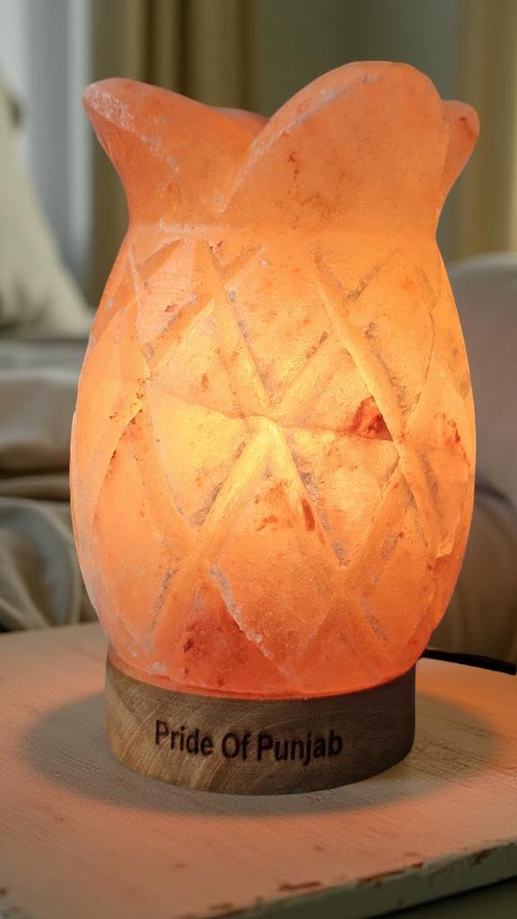 Najwyższej jakości lampa solna z ananasem himalajskim, 100% autentyczna, himalajska kryształowa lampa solna – naturalnie pozyskiwana ze zboczy Himalajów (żółta/czerwony/różowy)