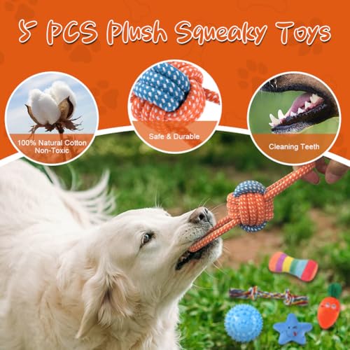 AMFUN 11 Stück Hundespielzeug Set, Hundespielzeug Kleine Hunde, Plüsch Hundespielzeug Mit Quietscher, Quietschend Kauspielzeug für Kleine Mittlere Hunde, Plüschspielzeug für Welpen