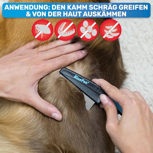 BluePet Flohkamm + Flohkarte Für Hunde & Katzen I Effktiv gegen Flöhe, Läuse & Zecken entfernen I Sanfte abgerundete Zinken I Als feiner Hundekamm, Staubkamm, Nissenkamm nutzbar
