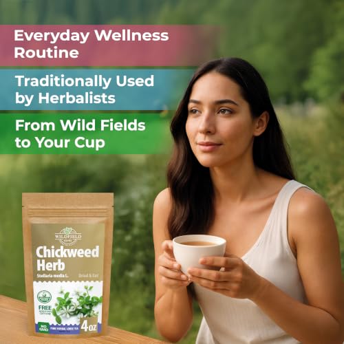 4 oz. Chickweed Herb Chickweed Tea (Stellaria Media) - 113g (4 oz) Herbal Tea Hierba De La Gallina Capiqui - image 2