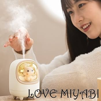 Amazon.co.jp: LOVE MIYABI 充電式 USB 加湿器 パワフル TypeC Type-C