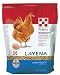 Purina Layena | Nutritionally Complete Layer Hen Feed Pellets | 10 Pound (10 lb) Bag