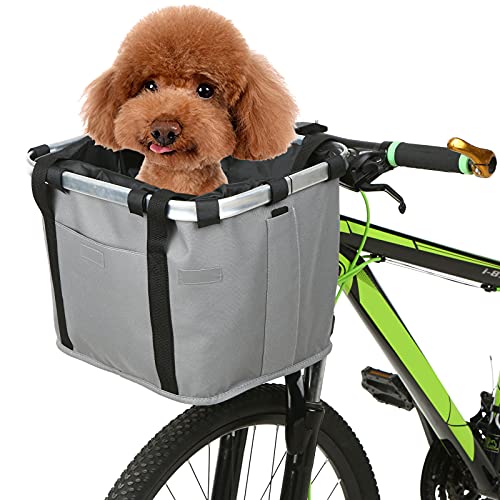 Best Bike Baskets For Dogs In India Mix And Grind