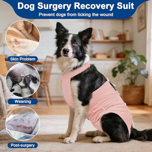 Image of BARKLESS Recovery Suit for Dogs, Soft Surgical Onesie for Female Spay | Breathable Cotton Body Suit for Dog After Surgery to Prevent Licking Abdominal Wounds, Cone Alternative (Pink, L)
