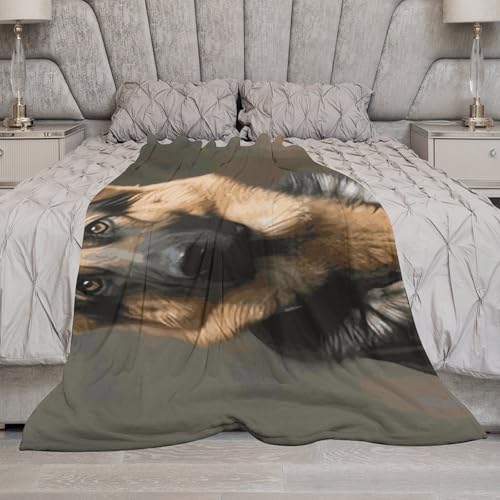 Couverture en flanelle pour chien idéale pour protéger le canapé et le lit - 6