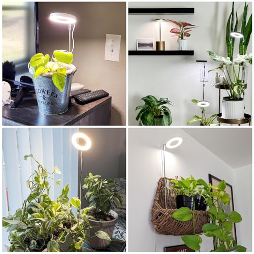Image of Aokrean Halo Grow Lights for Indoor Plants, Full Spectrum with Base 5 Pack | 3.5in White Growing Lamp for Small Plants Herbs, Desk /Plug Install, 6.5-26in Adjustable, 3 Spectra, Auto Timer, Dimmable
