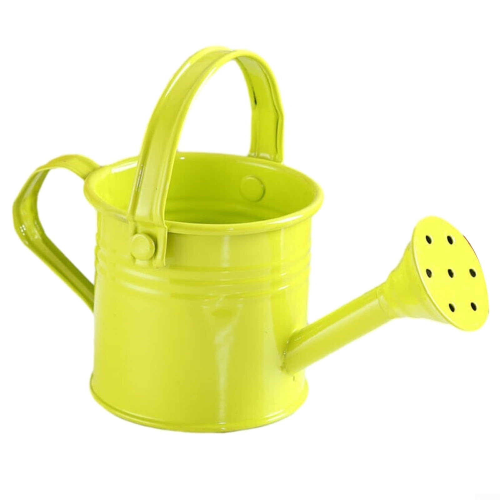Metal Watering Can with Large Capacity, Small Kettle Flower Pot Kettle, Perfect for Plants, Stable & Leak Proof(Light Green)
