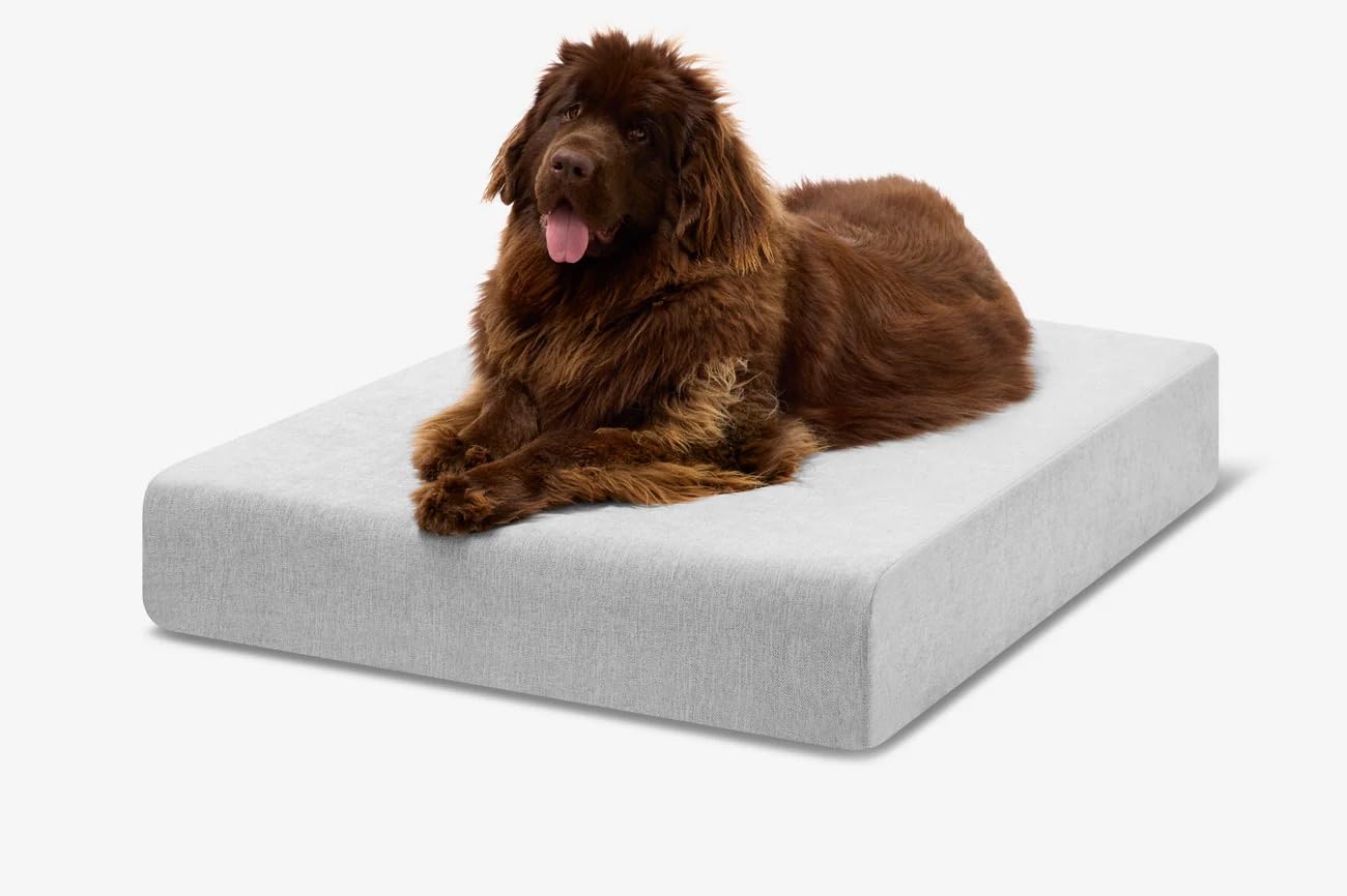 Barker Beds XL Orthopedic Dog Bed - 7" Memory Foam Mattress - 75-120 lbs - Joint Pain & Arthritis Support - Washable Cover - 52"x36"x7" - Stormcloud Linen