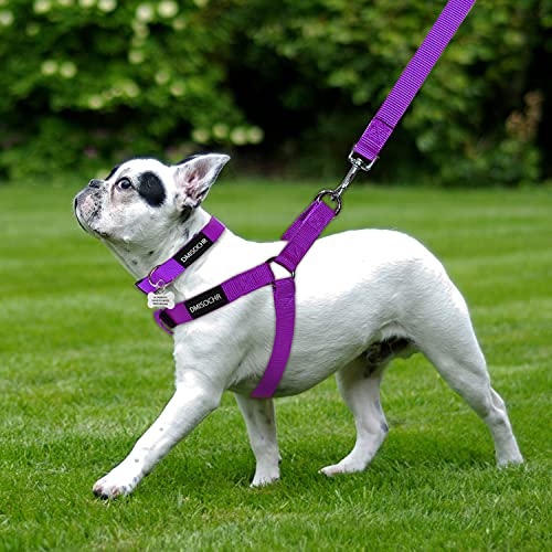 DMISOCHR Dog Harness and Leash Set with Collar Step in No Pull Dog