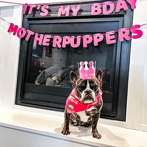 Odi Style Dog Birthday Party Supplies - Dog Birthday Bandana Set - Birthday Girl Bandana For Medium, Large Dogs, Party Hat, Crown And Cute Dog Birthday Banner With It's My Birthday Mother Puppers Sign #TOP5