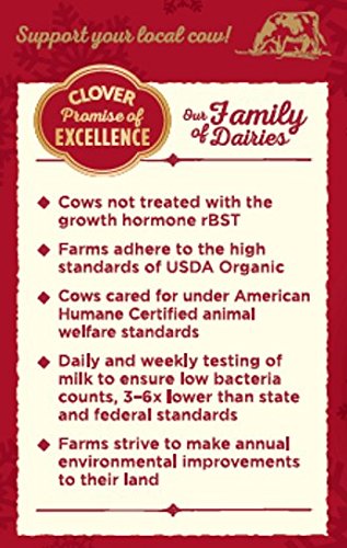Clover Sonoma, Organic Eggnog Quart, 32 oz