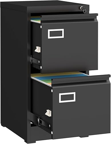 LUCYPAL Archivador de 2 cajones con cerradura, archivadores verticales de metal para oficina en casa, gabinete de almacenamiento debajo del