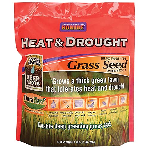 Find The Best Drought Resistant Grass Seed Reviews & Comparison Katynel