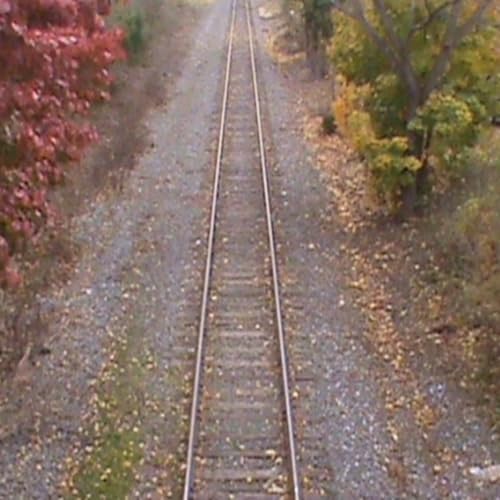 Virgina is For Lovers w/ Ben Braddock