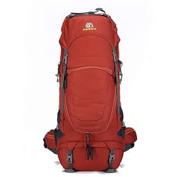 GASP リュック 赤 Amazon.co.jp: 登山バッグ 登山リュック 男性女性登山80L