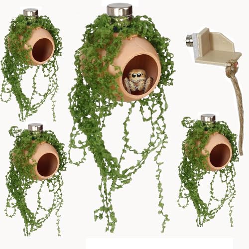 YOMENO 4Pcs Jumping Spider Enclosure Accessories Cocoon-Shaped Jumping Spider Hideaway with Artificial Moss and 1 Pcs Resting Platform Magnetic Small Animal Shelter Toy (Natural Wood Color)