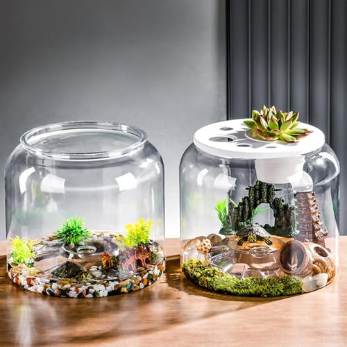 Réservoir de tortue d'eau transparent avec couvercle sécurisé