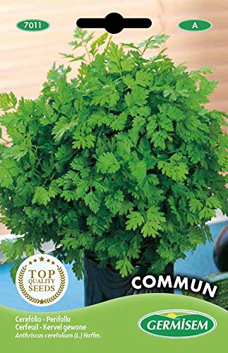 Germisem Commum Semillas de Chervil 10 g (EC7011)