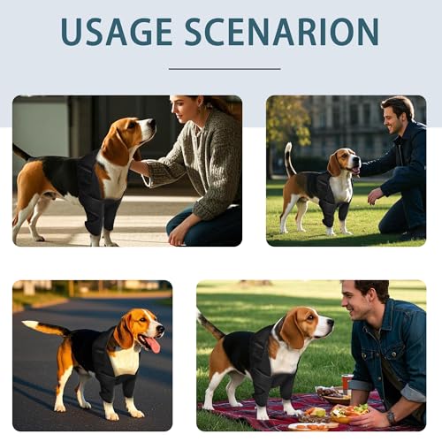 Image of Adjustable Dog Elbow Brace with Shoulder Support,Dog Front Leg Brace for Torn Ligaments, Arthritis,Post-Operative Rehabilitation, Pressure Sores(Both Leg,L)