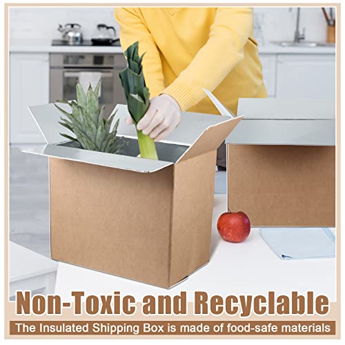 image for Henoyso 5 Pcs Insulated Shipping Box for Frozen Food 19