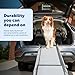PetSafe Happy Ride Compact Telescoping Dog Ramp - Portable Pet Ramp for Cars, Trucks & SUVs with Adjustable Sizing - Non-Slip Design - Lightweight Pet Mobility Assistance - Extra Long