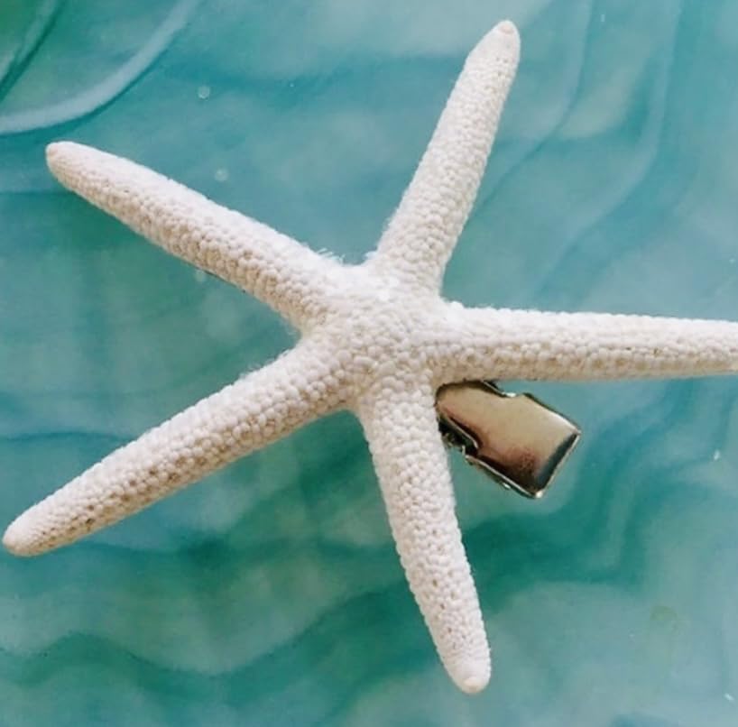 Real Starfish Hair Clip image 3