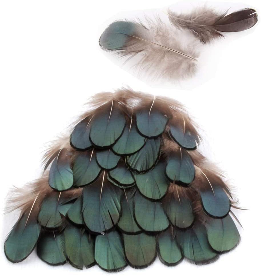 Green Bronze Chicken Feathers, Pheasant Feathers Iridescent Tippet Plumage Feathers for Home Garden Decoration DIY Hair Accessory Nice and Fashion