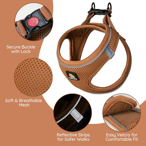 BELLA & PAL Hundegeschirr Kleine Hunde mit Leine, Step-in Geschirr aus Air Mesh, Anti Zug Reflektierend Atmungsaktiv Brustgeschirr, Welpengeschirr für Kleine Hunde, Katzengeschirr, Mokka, M
