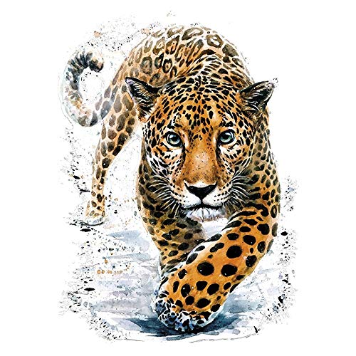 Ideen mit Herz Motivo Transferencia térmica | Din A4 | filigrana sin fondo | Decora textiles como camisetas y bolsos con motivos para planchar | Diseño textil DIY (Jaguar)
