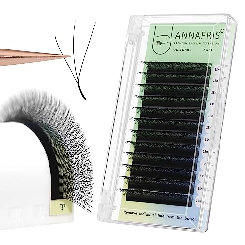 ANNAFRIS 3D Premade Fan W Shape Clover Eyelash Extensions 0.07 C Curl 8-14mm MIX Volume Self Fanning W Lash Extension Natural Soft Faux Mink False Lashes Makeup Supplies (8-14mm MIX