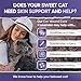 LeAcademic Cat Wound Care + Lavender | Wound Care for Cats | Cat Wound Spray | Wound Spray | Pet Wound Care for Cats | 4 Oz