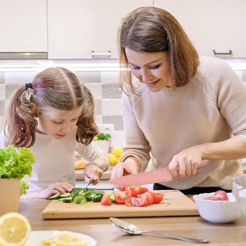 Image of VANDU Knife for Kitchen use, Kitchen Knife Sets, Professional Colorful Knives Set of 6 Pieces, Non-Stick Blades with High Carbon Stainless Steel, Chef Set (Multicolor) (1 Set)