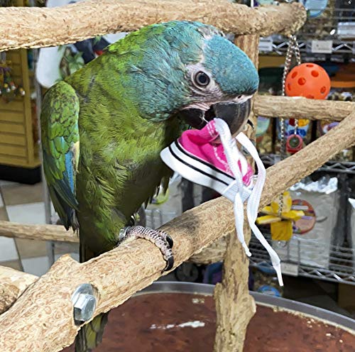 Birds LOVE 6 Pack Grommet-Free Mini Sneakers Shoe Toys for Birds Cats Ferrets Rabbits Guinea Pigs and Small Animals - Image 5