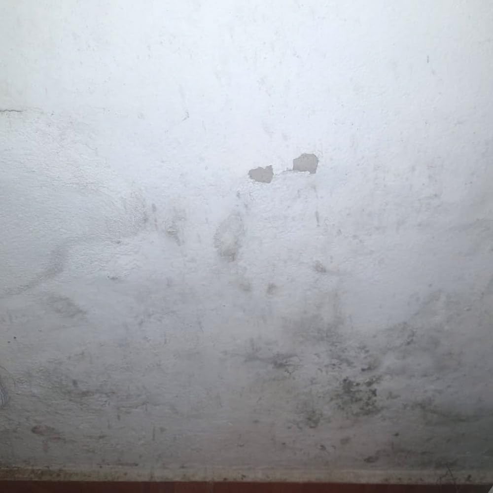 Limpiador de Humedades listo al uso 5L Fachadas Tejados y Muros | Elimina en profundidad condensación, manchas de humedad, suciedad y ennegrecimiento antes de pintar o restaurar superficies.