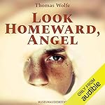 Cover of Look Homeward, Angel