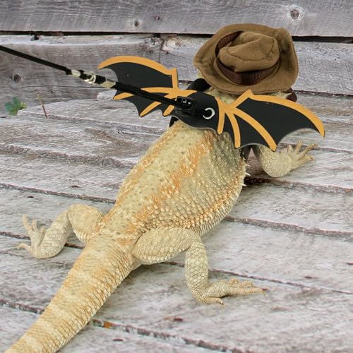 Image of Bearded Dragon Leash Bat Wings Hat Costume Set, Adjustable Cowboy Hat Lizard Leash Harness (S /M /L 3 Pack) for Reptile Lizard Leopard Gecko Holiday Party Accessories