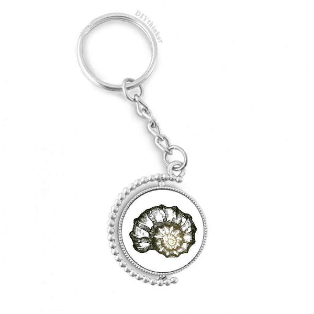 Keyholder rotatif escargot marine noire finition premium DIYthinker