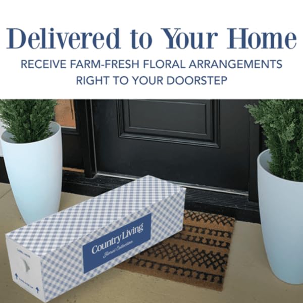 KaBloom Flowers - Bouquet of Purple Roses,White Hydrangea,Purple Orchids and Greens with Vase - Gift for Birthday, Sympathy, Anniversary, Get Well, Thank You, Valentine, Mother’s Day Fresh Flowers