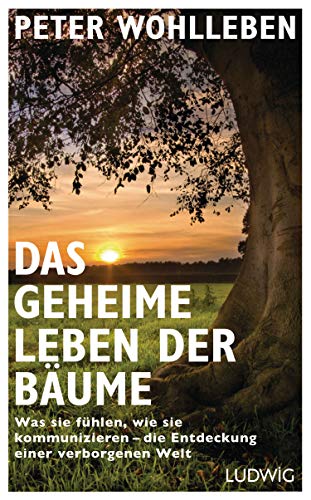 Das geheime Leben der Bäume: Was sie fühlen, wie sie kommunizieren - die Entdeckung einer verborgenen Welt