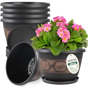 6 Pack 8 inch Plant Pots, Retro Pattern Planters with Drainage Holes and Saucer, Sturdy Plastic Garden Flower Pots for Indoor & Outdoor Plants