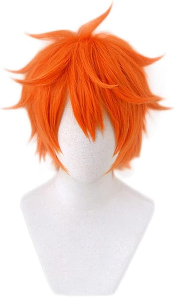 Liamiona Cosplay Short Wig Heat Resistant Synthetic Hair Anime Wig Halloween Carnival Party Wigs